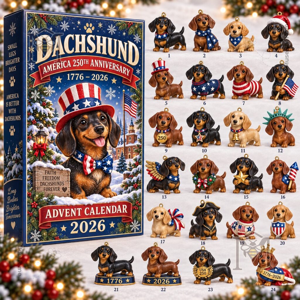 Dachshund America 250th Anniversary 2026 Advent Calendar - photo 2